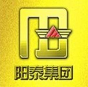 陽城縣陽泰集團(tuán)實業(yè)